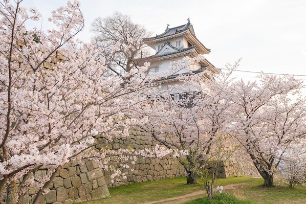 🏯 마루가메 성 이미지 8